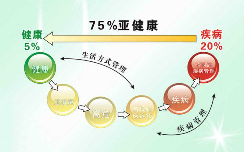 企业健康管理:构建更健康的工作环境