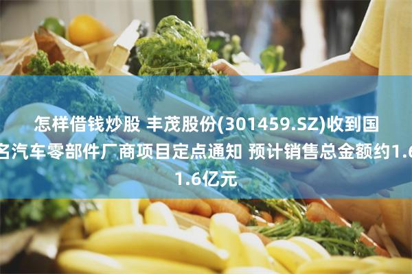 怎样借钱炒股 丰茂股份(301459.SZ)收到国际知名汽车零部件厂商项目定点通知 预计销售总金额约1.6亿元
