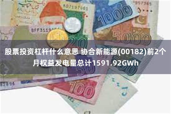 股票投资杠杆什么意思 协合新能源(00182)前2个月权益发电量总计1591.92GWh