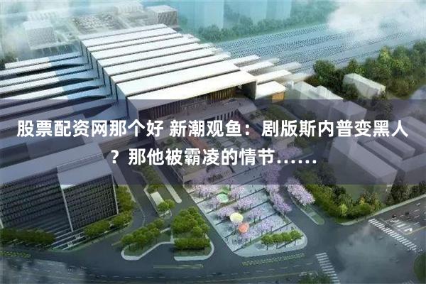 股票配资网那个好 新潮观鱼：剧版斯内普变黑人？那他被霸凌的情节……