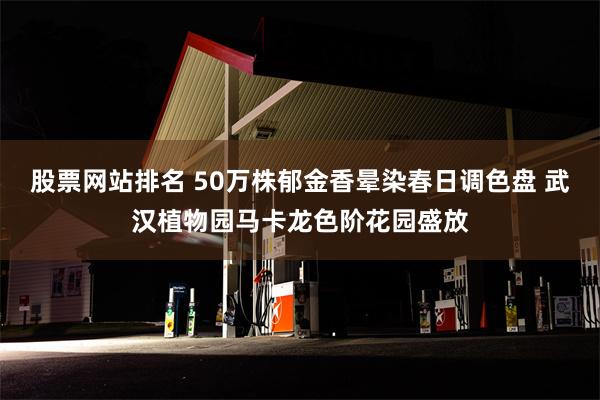 股票网站排名 50万株郁金香晕染春日调色盘 武汉植物园马卡龙色阶花园盛放