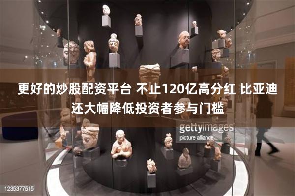 更好的炒股配资平台 不止120亿高分红 比亚迪还大幅降低投资者参与门槛