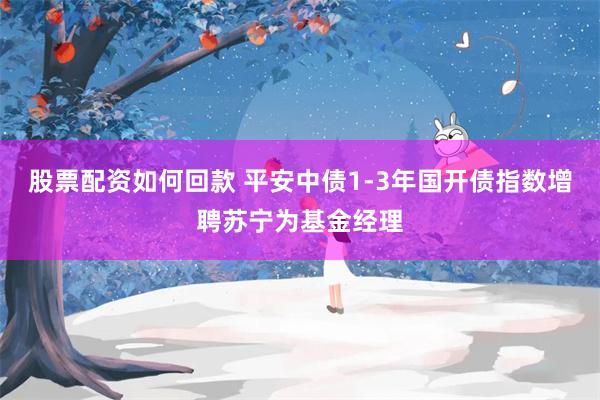 股票配资如何回款 平安中债1-3年国开债指数增聘苏宁为基金经理
