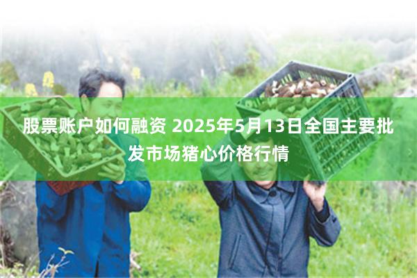 股票账户如何融资 2025年5月13日全国主要批发市场猪心价格行情