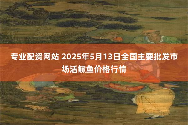 专业配资网站 2025年5月13日全国主要批发市场活鳜鱼价格行情