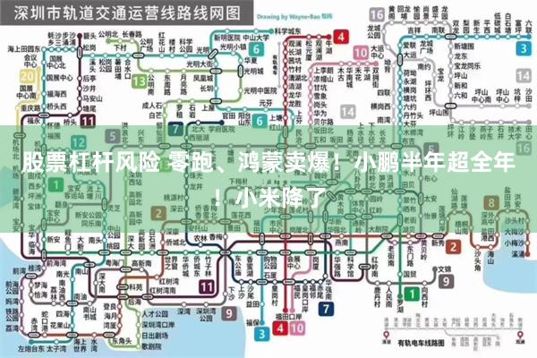 股票杠杆风险 零跑、鸿蒙卖爆！小鹏半年超全年！小米降了