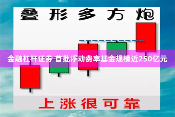 金融杠杆证券 首批浮动费率基金规模近250亿元