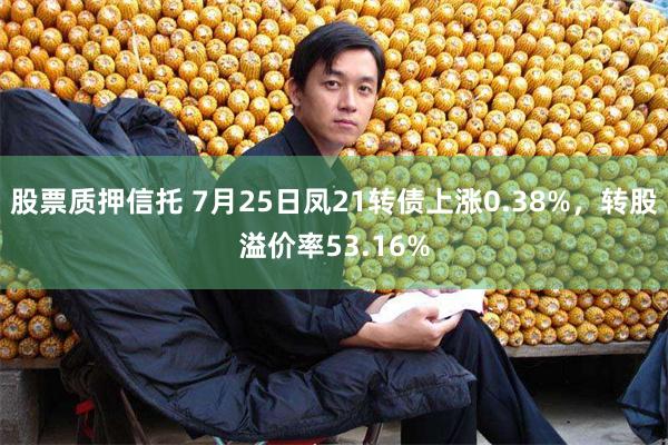 股票质押信托 7月25日凤21转债上涨0.38%，转股溢价率53.16%