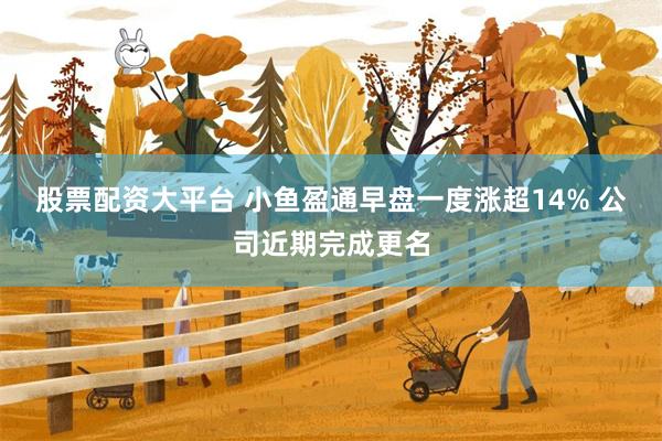 股票配资大平台 小鱼盈通早盘一度涨超14% 公司近期完成更名