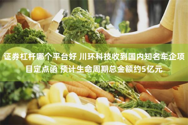 证券杠杆哪个平台好 川环科技收到国内知名车企项目定点函 预计生命周期总金额约5亿元