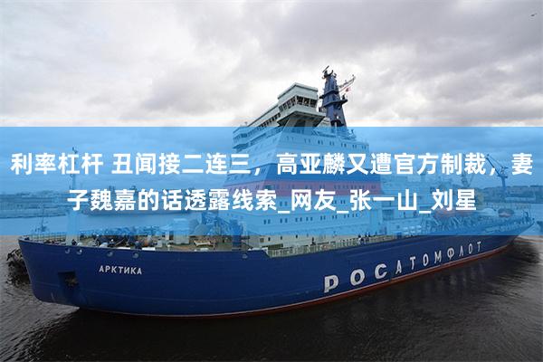 利率杠杆 丑闻接二连三，高亚麟又遭官方制裁，妻子魏嘉的话透露线索_网友_张一山_刘星