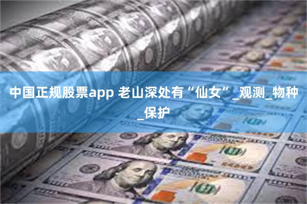中国正规股票app 老山深处有“仙女”_观测_物种_保护