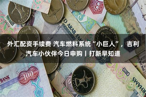 外汇配资手续费 汽车燃料系统“小巨人”，吉利汽车小伙伴今日申购丨打新早知道