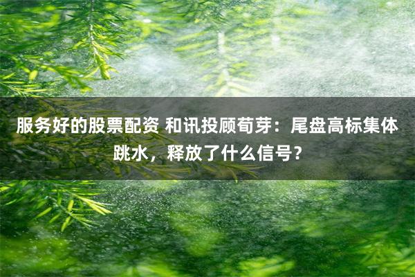 服务好的股票配资 和讯投顾荀芽：尾盘高标集体跳水，释放了什么信号？